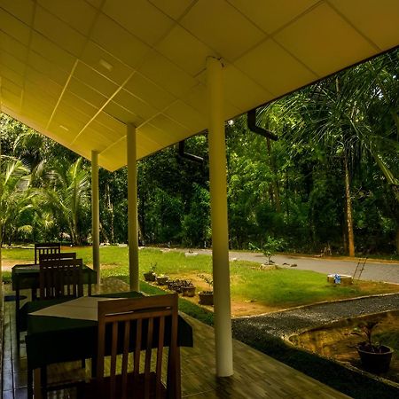 Little Ele Safari Lodge Udawalawe Exteriör bild