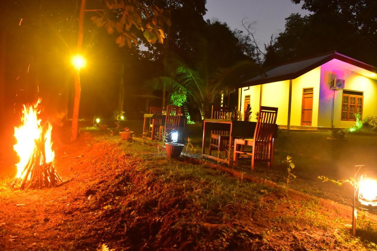 Little Ele Safari Lodge Udawalawe Exteriör bild