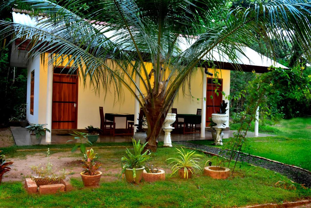 Little Ele Safari Lodge Udawalawe Exteriör bild